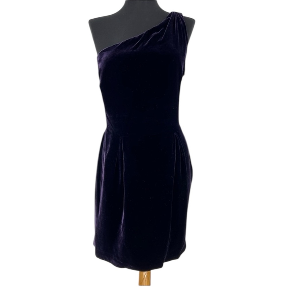 Rugby Ralph Lauren Elegant Velvet‎ One-Shoulder Purple Dress